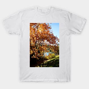 Autumn in the Park T-Shirt